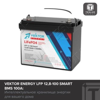 Vektor Energy LFP 12,8-100 Smart BMS 100A: хранилище энергии для дома